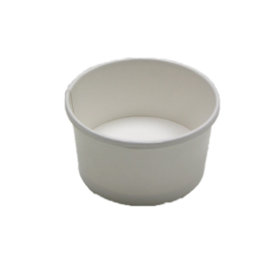 10 oz disposable paper cup